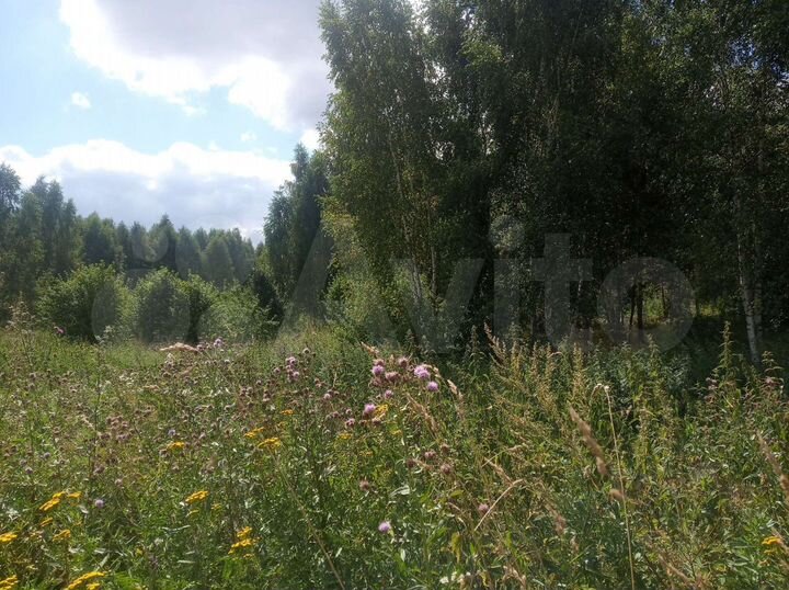 Участок 31 сот. (СНТ, ДНП)