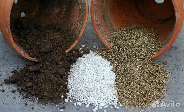 Агроперлит