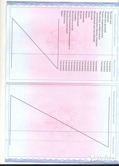Репетитор по истории и обществознанию