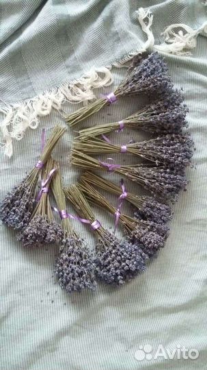 Букетики лаванды