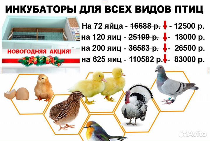 Инкубаторы