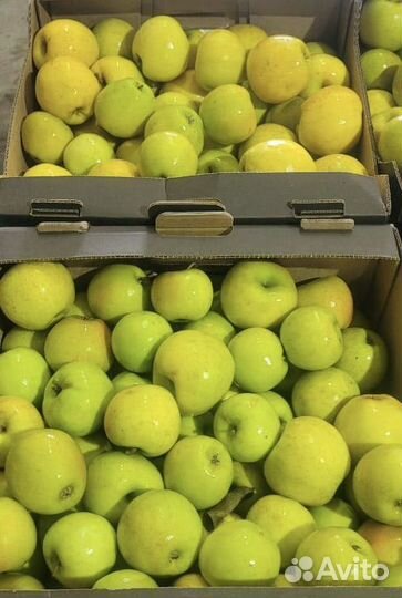 Яблоки оптом