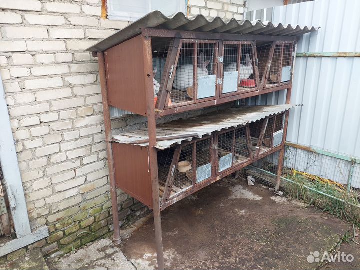 Клетки для кроликов