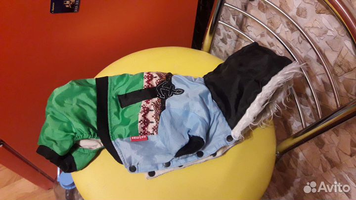 Одежда для собак