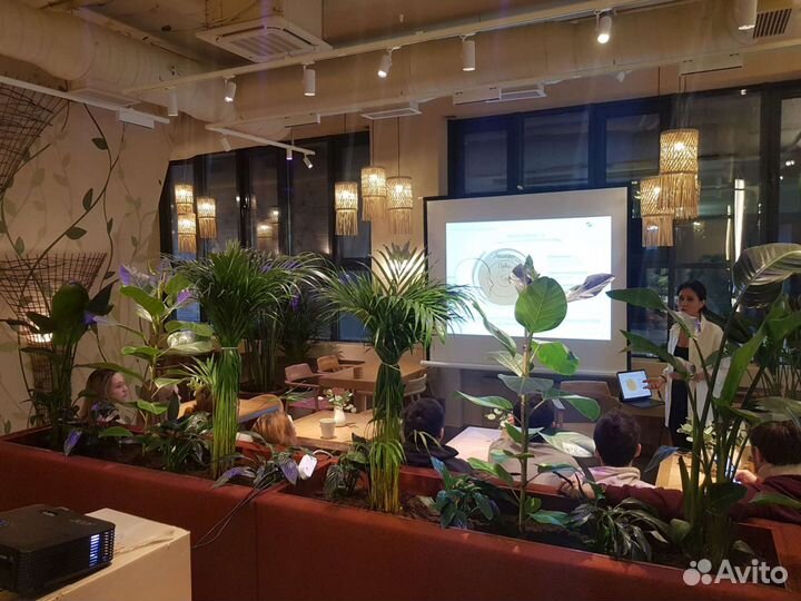 Аренда проектора + Экран + Доставка