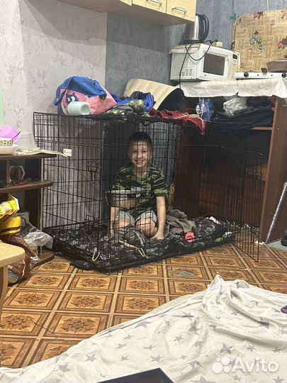 Клетка для собак