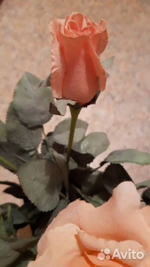 Цветы искусственные Бельгия