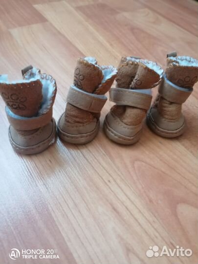 Зимняя обувь для собак