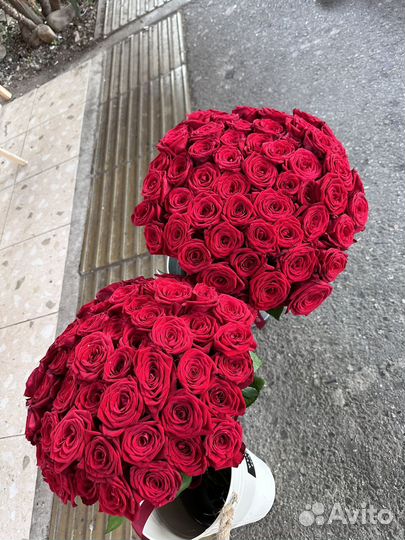 101 роза круглосуточно 51 21 31 55 Сочи Адлер