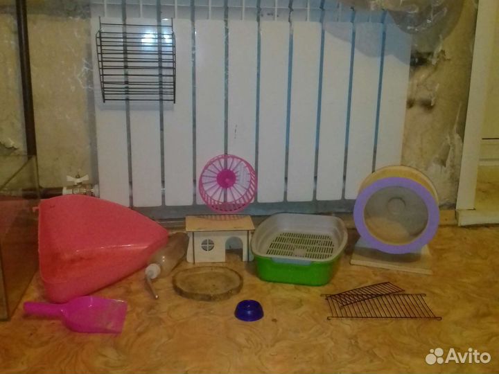 Товары для грызунов