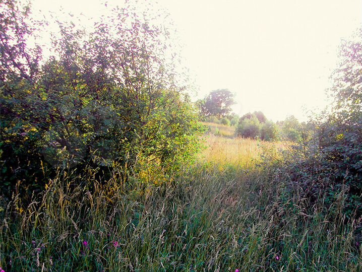 Участок 100 сот. (ИЖС)