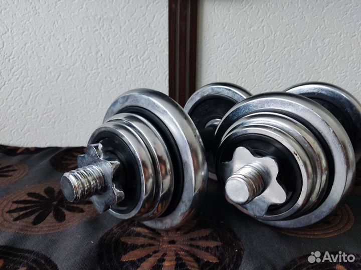 Гантели kettler разборные по 10 и 12 кг
