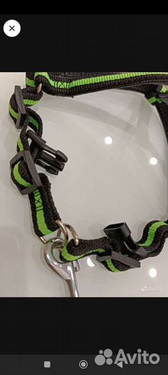 Шлейка с поводком для животного