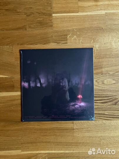 Винил Enter Shikari – A Kiss For The Whole World