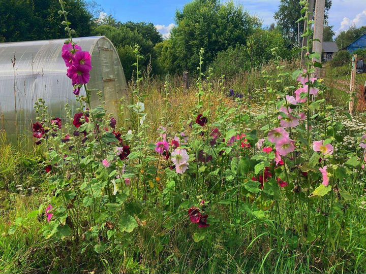 Дом 38 м² на участке 14 сот.