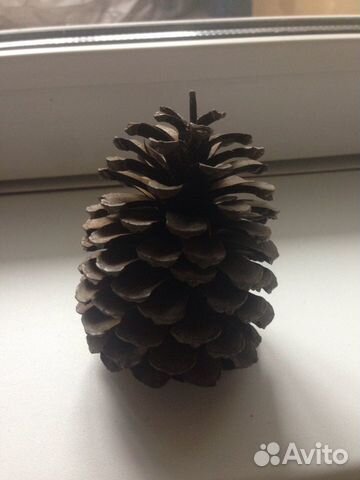 Шишка большая выс.10,диам.25 см, д/ декора,интерье