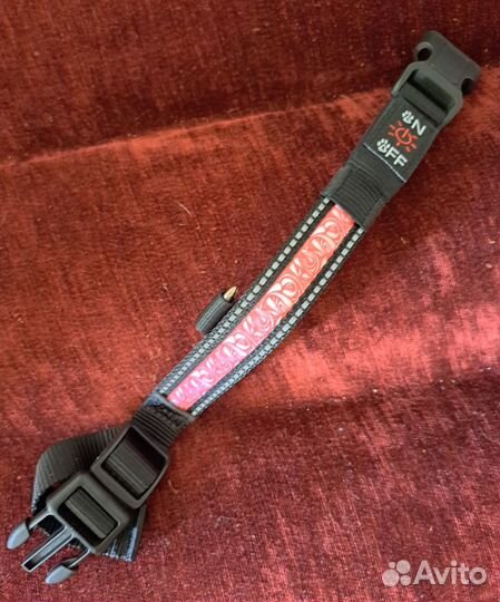 Ошейник для маленькой собаки