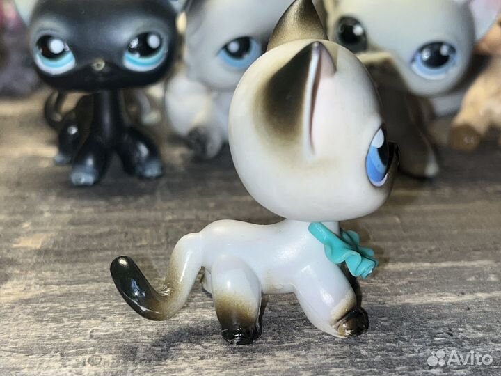 Lps стоячка