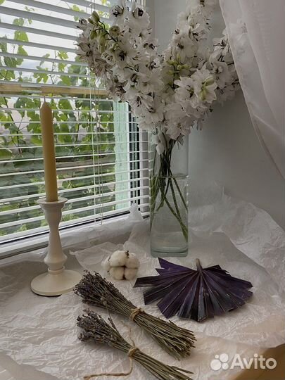 Сухоцветы для творчества