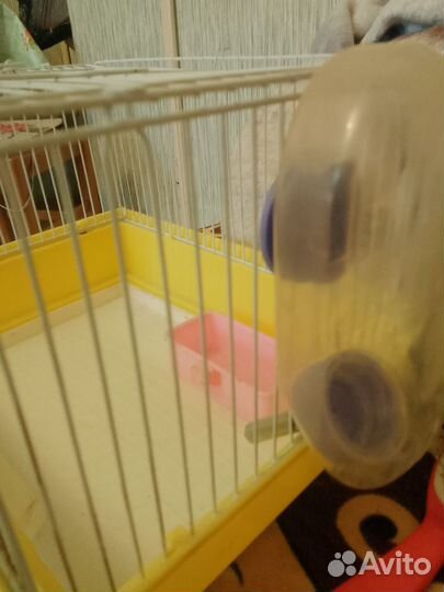 Клетка для грызунов