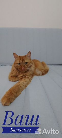 Пластиковые окна и расширение балконов