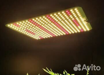 Фитолампа quantum board полный спектр 240 Вт