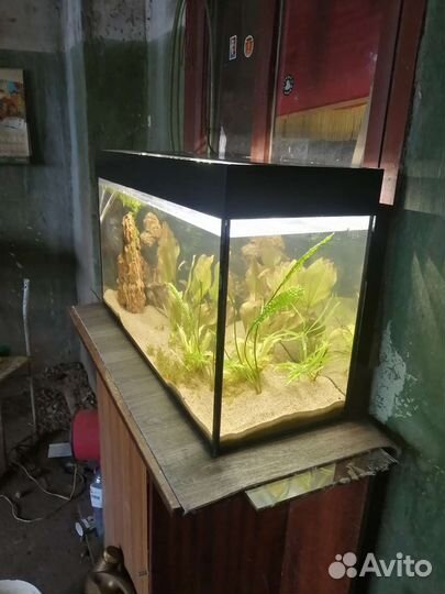 Аквариум 130 литров