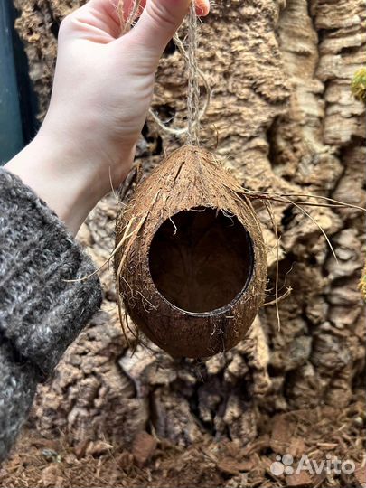 Укрытие для рептилий