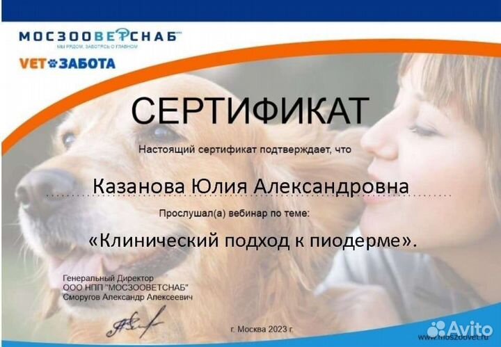Ветеринарный врач, клиника