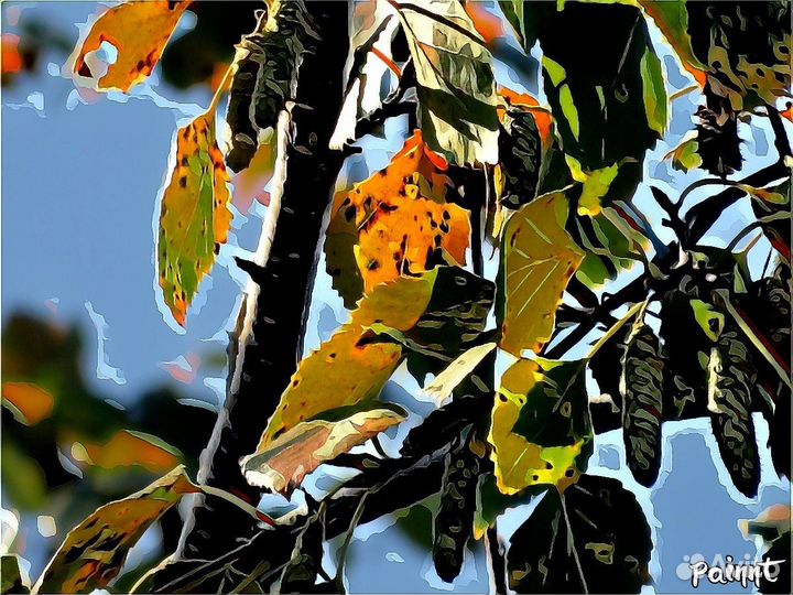 Фотокартины - Лучшие моменты осени Ангарск