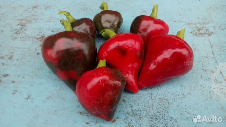 Семена Томатов и перца