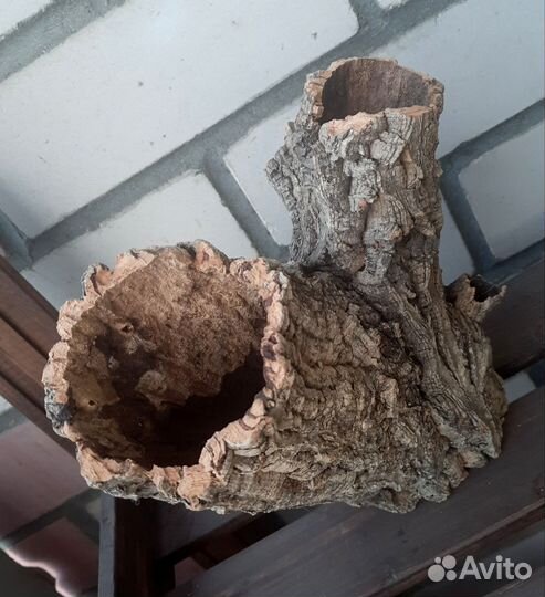 Кора пробкового дуба