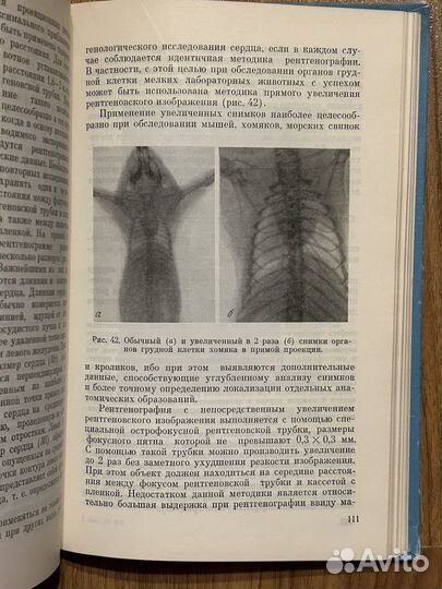 Рентгенологическое исследование животных