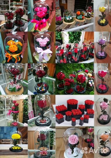 Роза в колбе, пионы, букеты в стекле, спб5, от