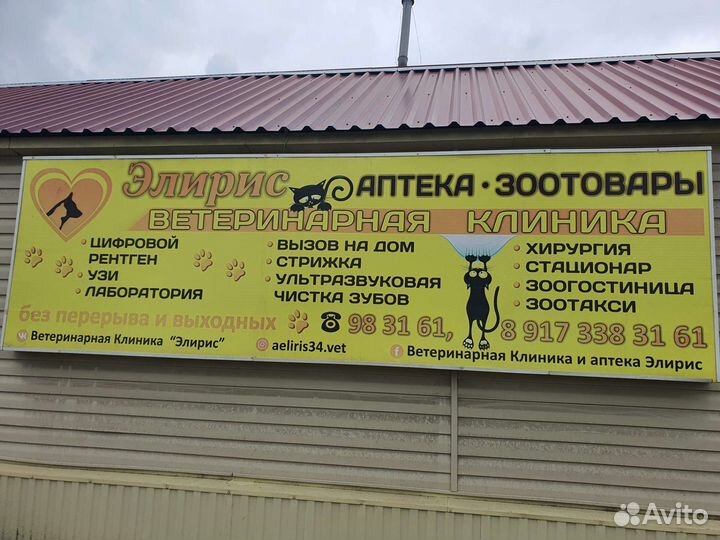 Ассистент ветврача