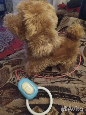 Собачка с пультом управления