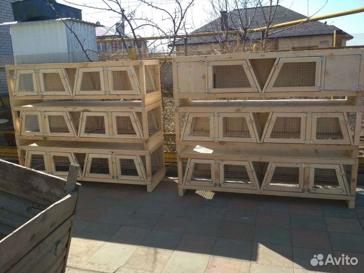 Клетки