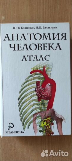 Анатомия человека атлас 2011 года Боянович