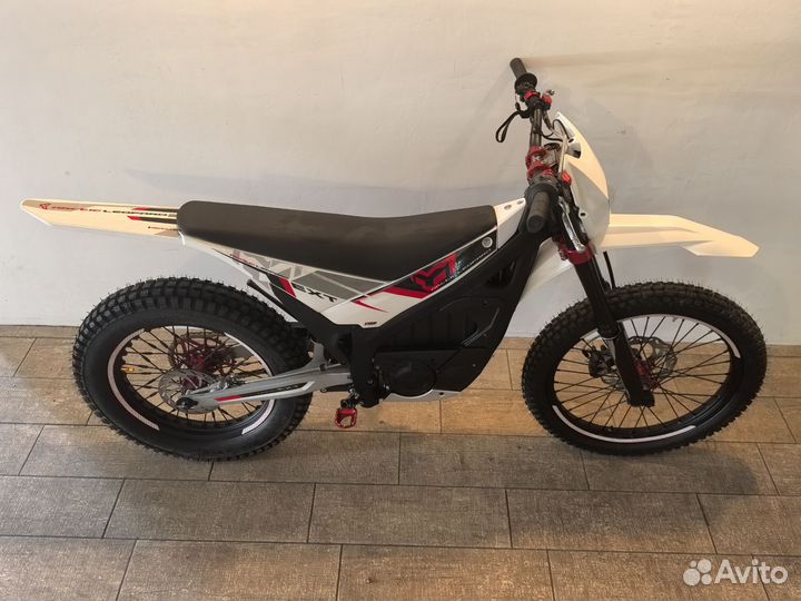 Arctic leopard snow ex800