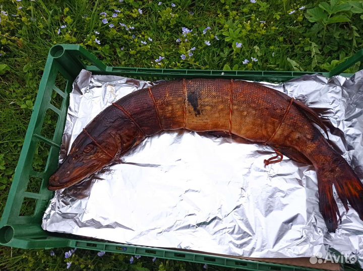 Лещ горячего копчения