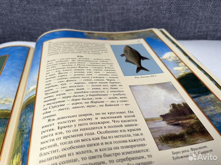 Русская рыбалка. Шикарное подарочное издание