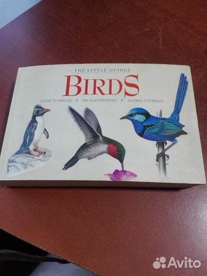 Birds (the little guides)