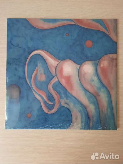 King Crimson in the court of the crimson king