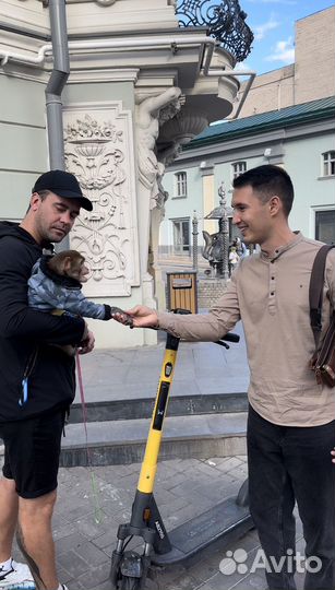 Срочный выкуп авто / Выкуп кредитных авто