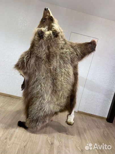 Имитация шкуры медведя