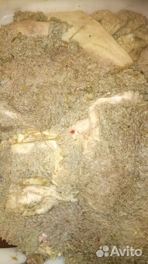 Мясо для собак