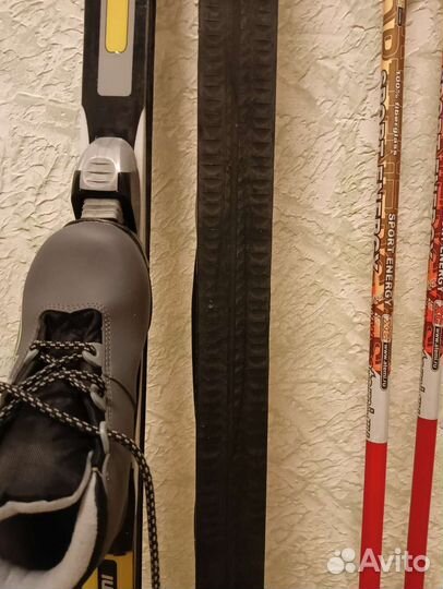 Беговые лыжи