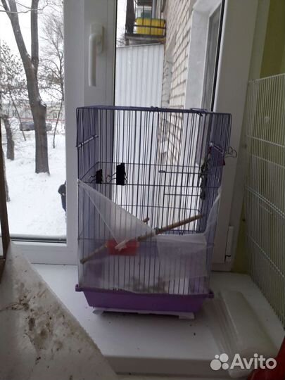 Клетка для птиц