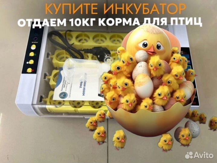 Инкубатор автоматический на 23 яйца (HHD)