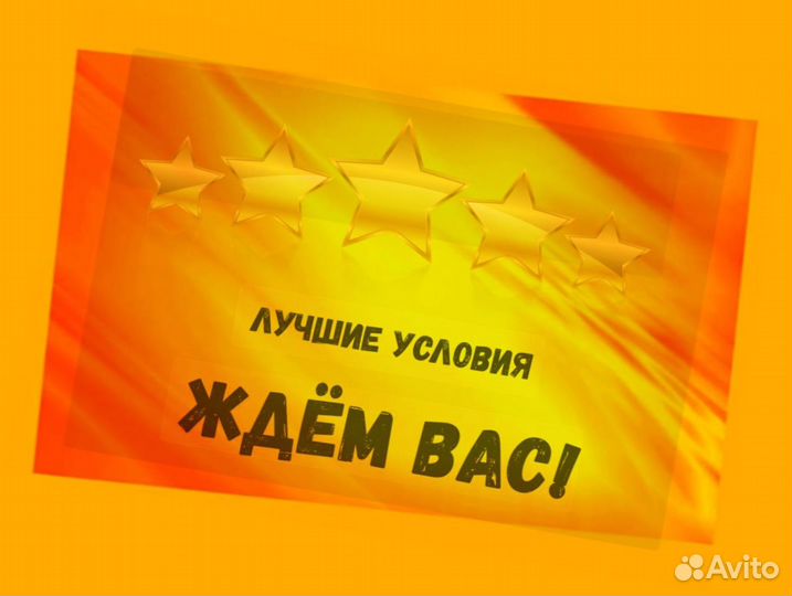 Наборщик заказов Без опыта Еженедельные выплаты